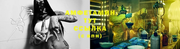гидропоника Горнозаводск