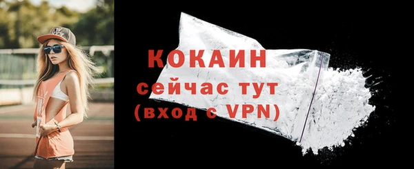 амф Дмитров