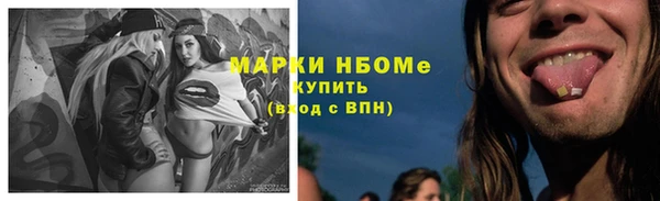 амф Дмитров