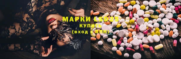амф Дмитров