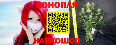 ПСИЛОЦИБИНОВЫЕ ГРИБЫ Ирбит