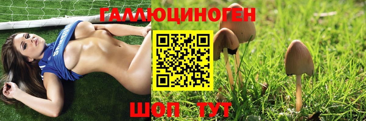 Севастополь  Псилоцибиновые грибы мицелий  Вход с VPN  Галлюциногенные грибы ЛСД 