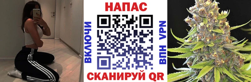 Каннабис конопля Севастополь